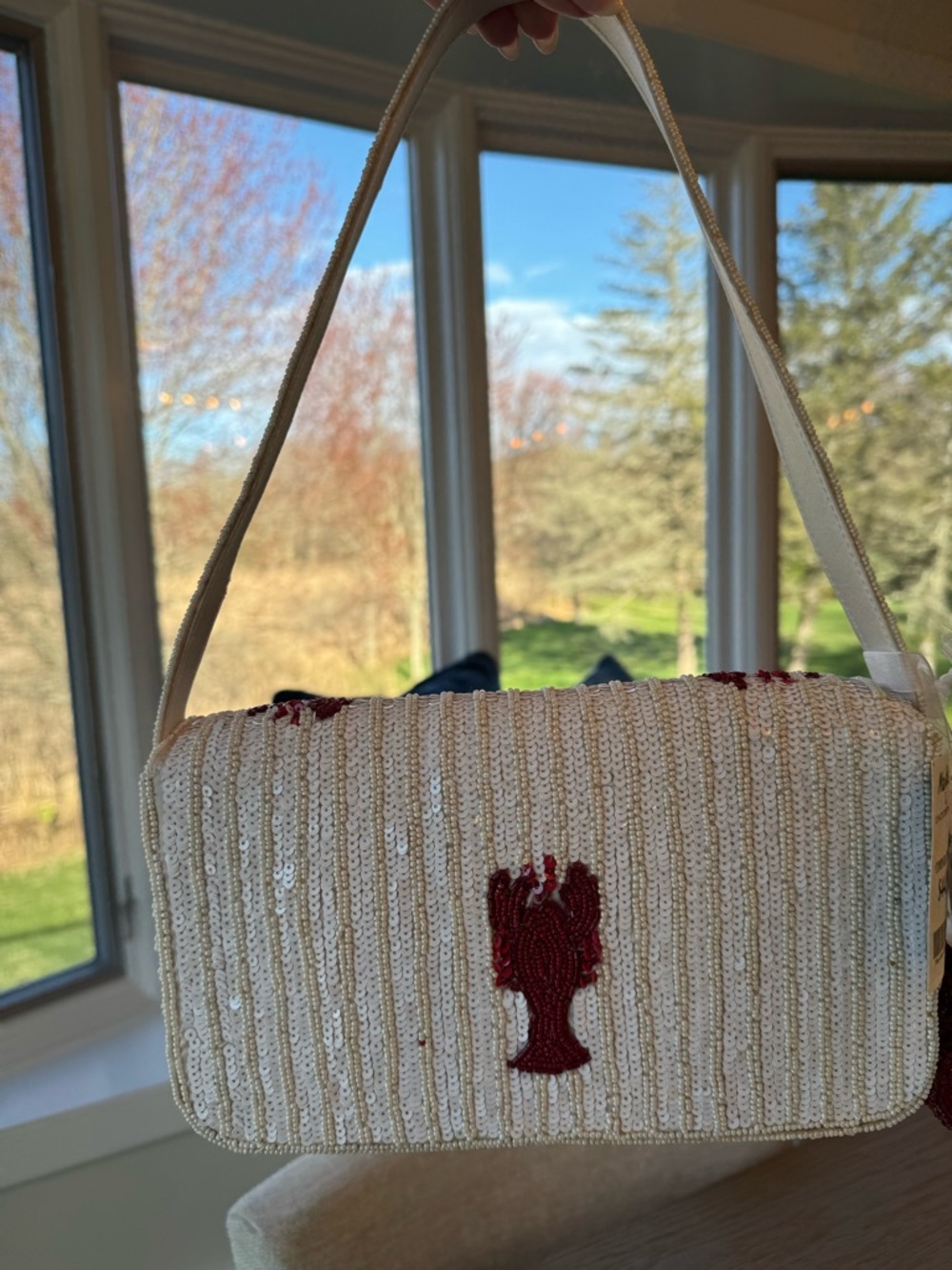 Tik Tok Viral Beaded Lobster Bag - Picture 4 of 11